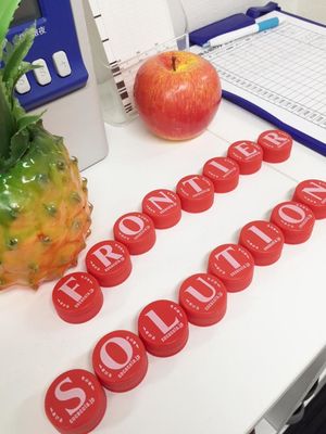 株式会社フロンティアソリューション
