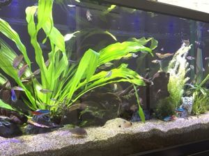 株式会社フロンティアソリューション