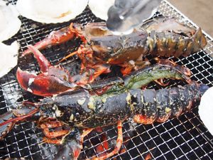 株式会社フロンティアソリューション