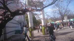 プラネットワークス株式会社